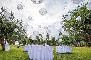 1016-1233715256.nl_lampionnen_1