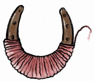 Paard en Schaap