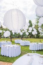 1016-1840089612.nl_lampionnen_2